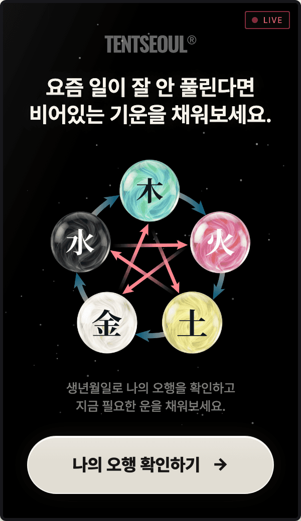 사주보기
